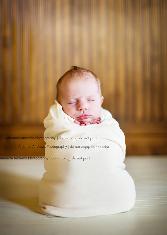 img 8736 Berry Baby A...{Boise Idaho Newborn Photographer}