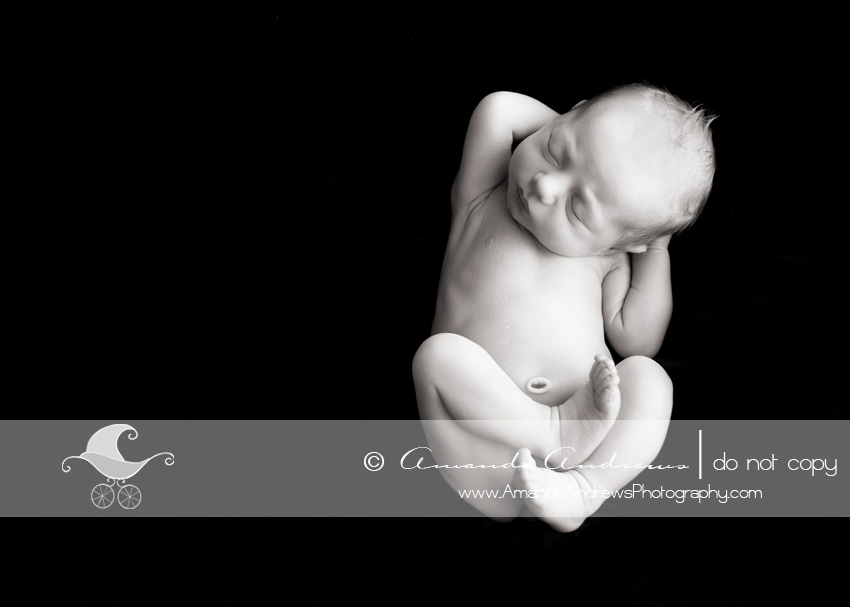 newborn photographer mountain home idaho IMG 1457b Boise Newborn Baby Photographer | Drew...