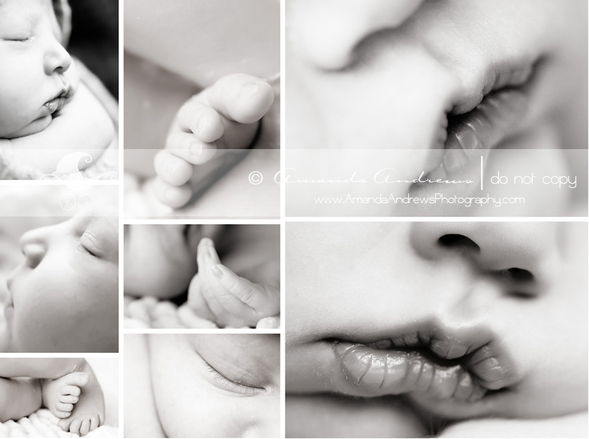 boise best newborn photographer pictures photos infant Untitled 11 Boise Baby Photographer | Nick...
