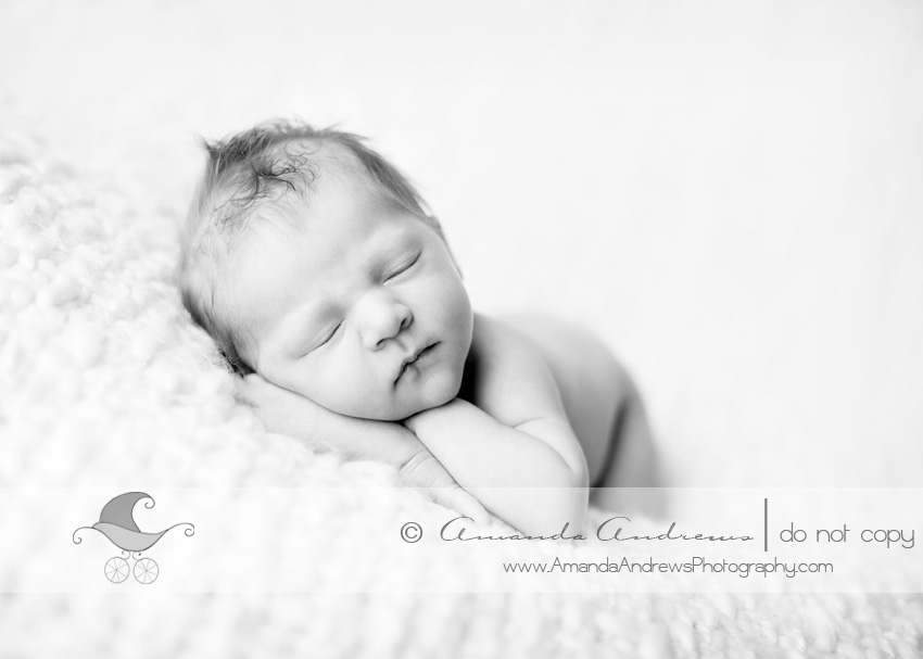IMG 2255b Newborn Baby Photographer, Boise Idaho | Charlotte...