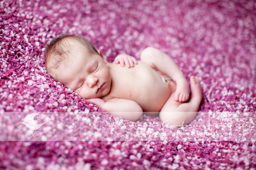 IMG 2276 Newborn Baby Photographer, Boise Idaho | Charlotte...