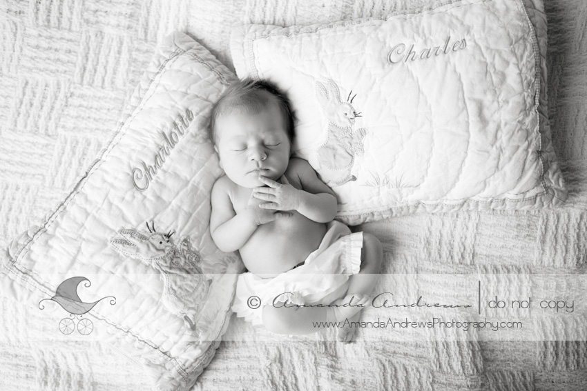 IMG 2299b Newborn Baby Photographer, Boise Idaho | Charlotte...