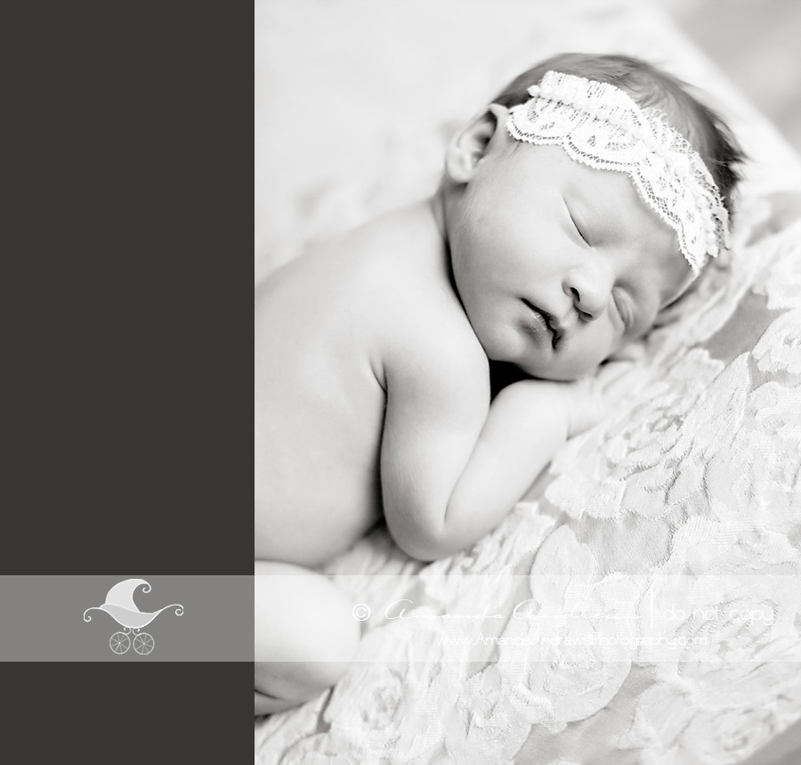 IMG 2402b Newborn Baby Photographer, Boise Idaho | Charlotte...