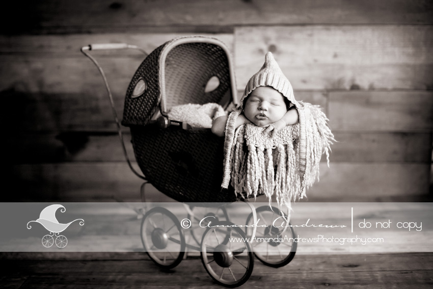 infant photographer boise idaho IMG 2702b Newborn Photography Boise Idaho | Carver...