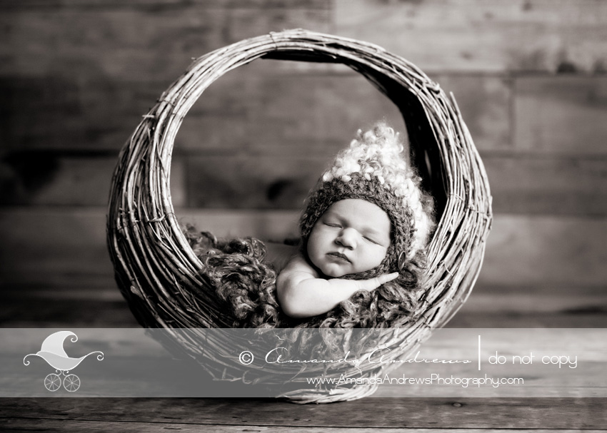 meridian idaho newborn baby photos boise IMG 2772b Newborn Photography Boise Idaho | Carver...