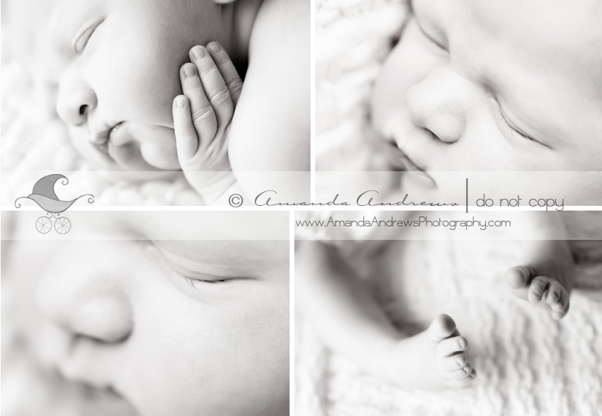 Untitled 1 Newborn Baby Photographer, Boise Idaho | Charlotte...
