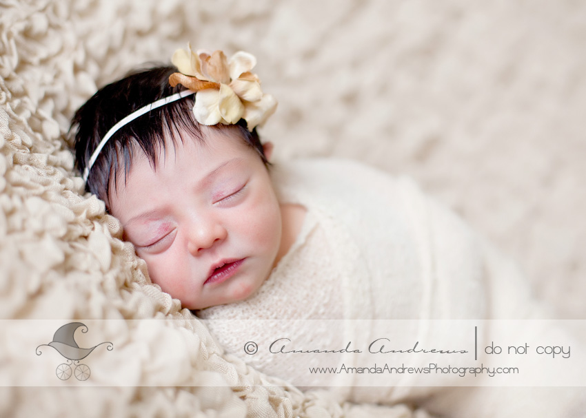 revae newborn baby pictures mountain home