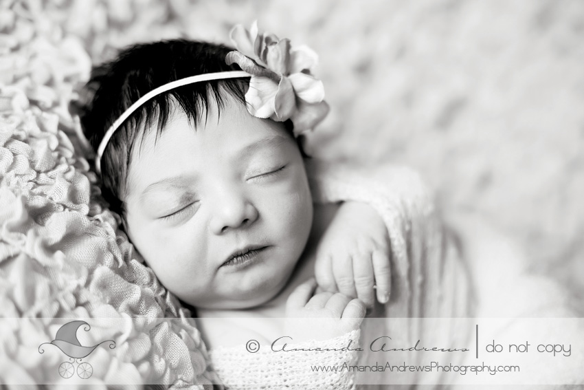 revae newborn wrapped pictures