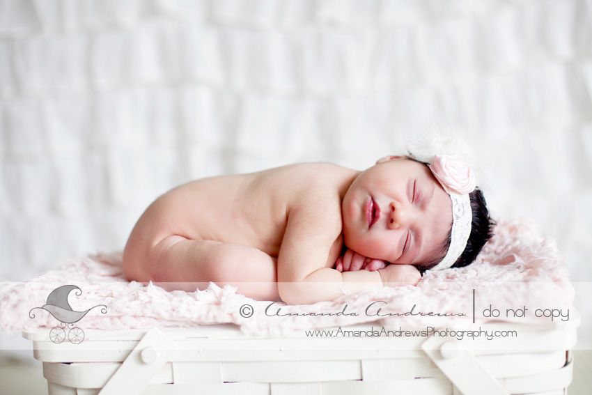 Mountain Home idaho Newborn photographer folded baby on white picnic basket picture