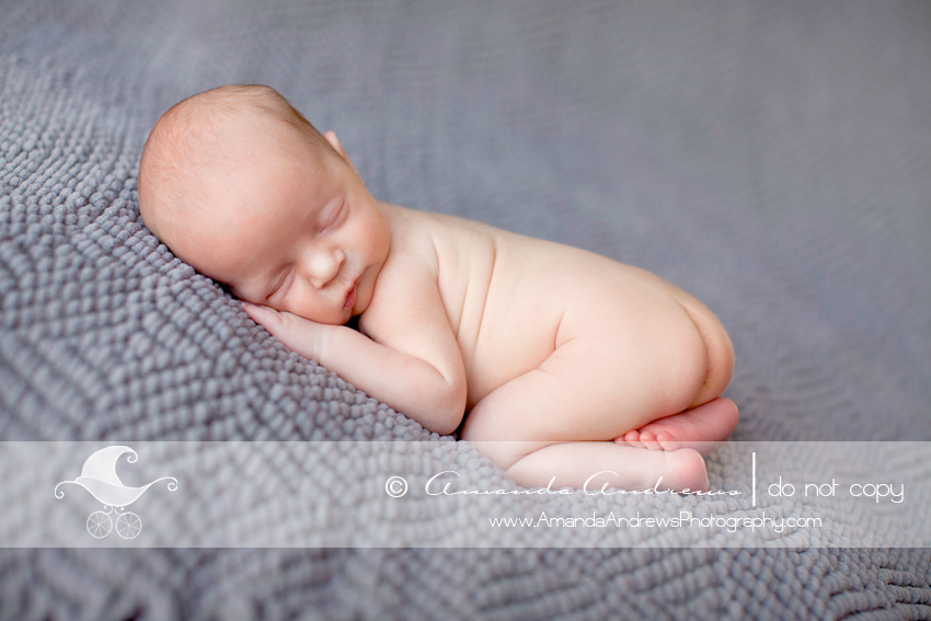 boise newborn photography infant pictures