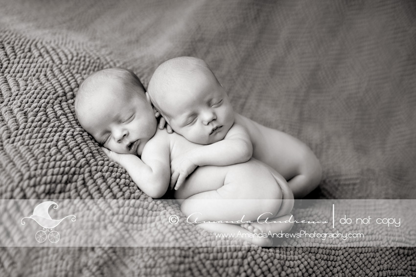 boise twin newborn photographer idaho portraits