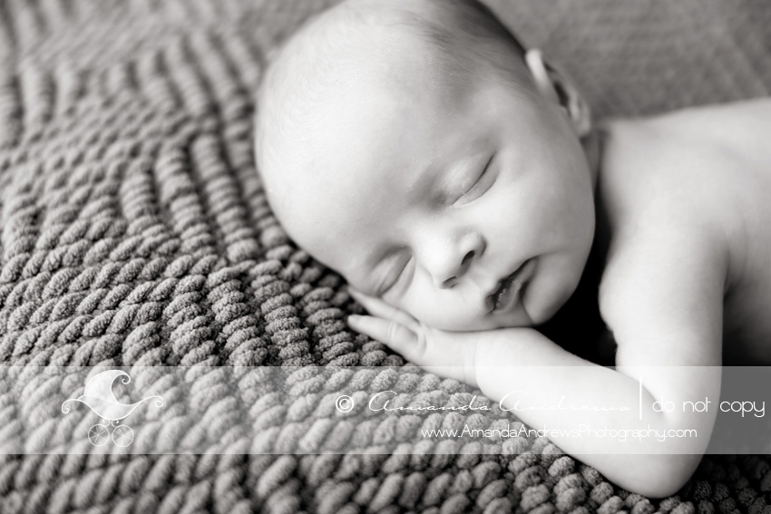 boise idaho newborn photographer baby pictures