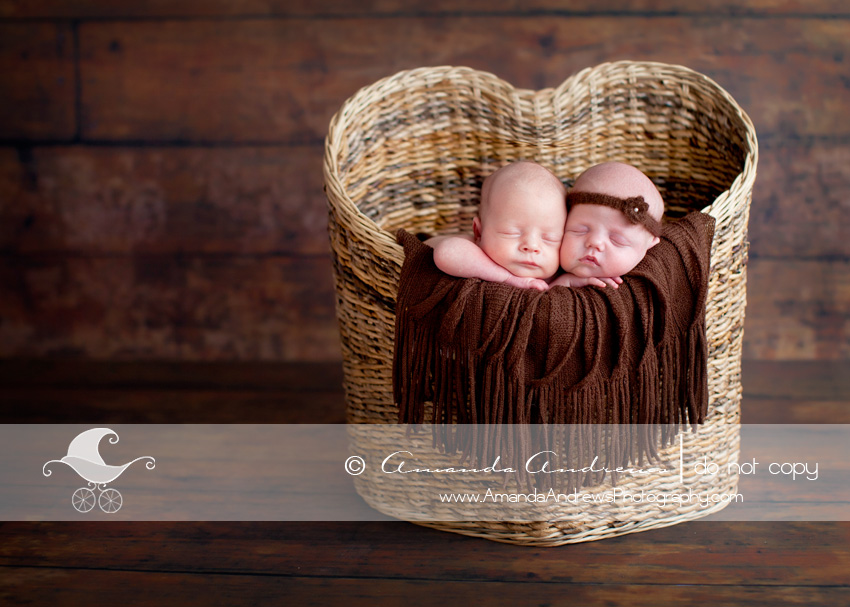 Boise newborn photography twin pictures