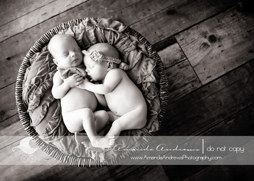 mountain home idaho newborn twin photographer