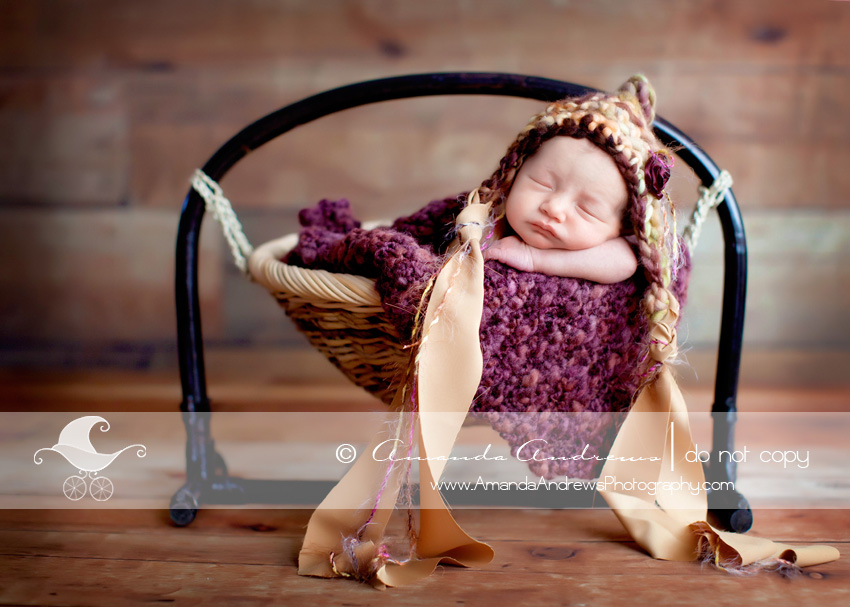 Boise newborn baby photographer gwen's newborn pictures in hanging basket