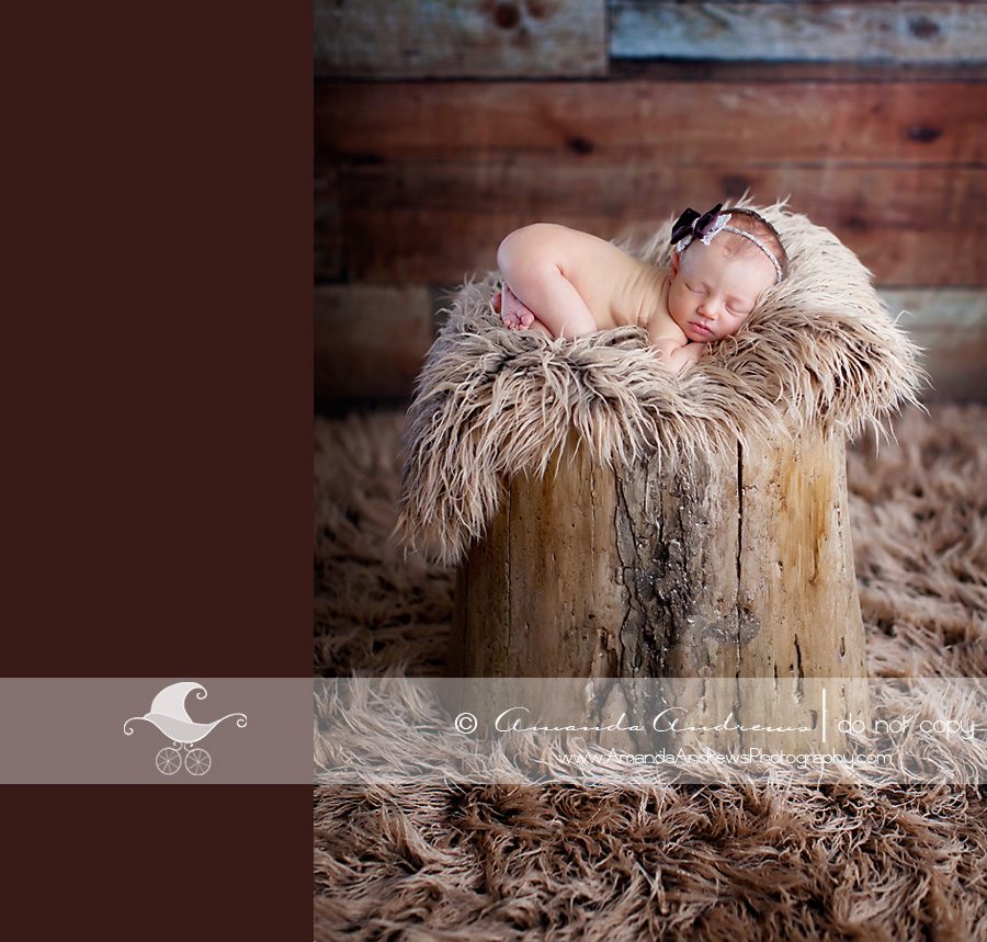 baby photographer nampa idaho gwen's newborn portraits on tree stump 1