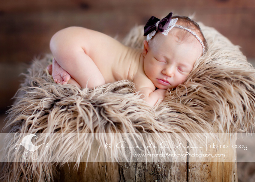 eagle idaho baby photographer gwen's newborn pictures on tree stump close up 3