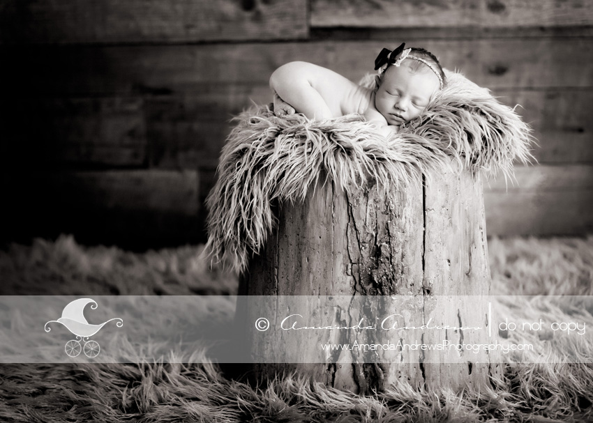 meridian idaho newborn photographer gwen's newborn photographs tree stump2