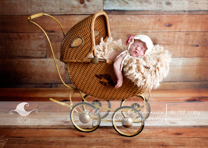 boise id infant photographer baby in carriage photo