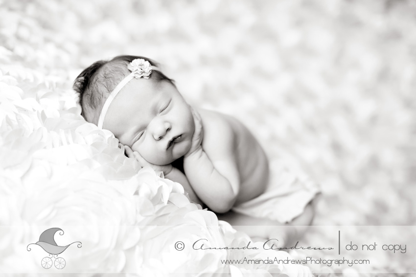 kuna newborn baby photographer black and white newborn photography