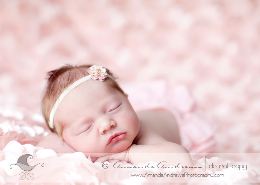 baby picture on hands on pink flower fabric