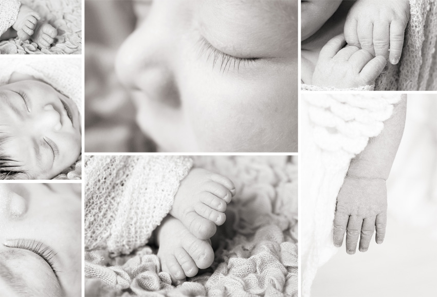 boise id newborn baby photographer baby bits and pieces pictures