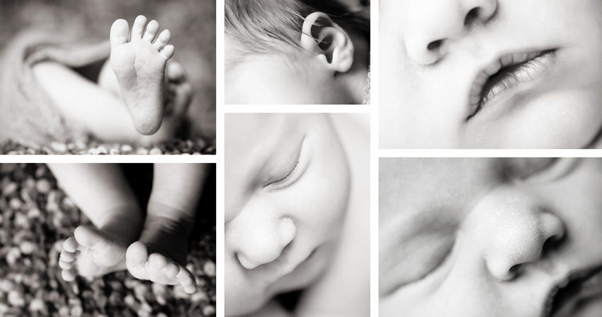 infant photography boise id close up baby part pictures