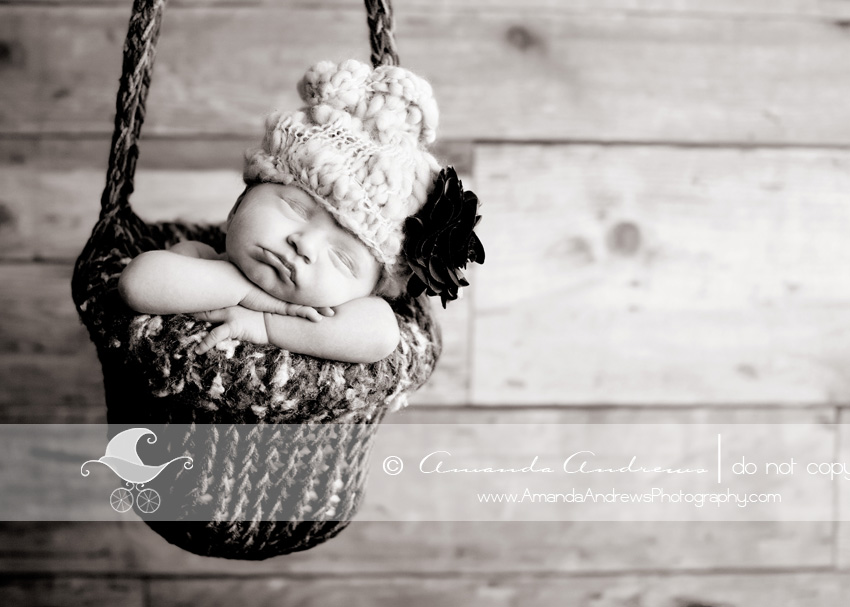 twin falls mountain home sun valley ketchum hailey id newborn baby photographer baby in swing photograph