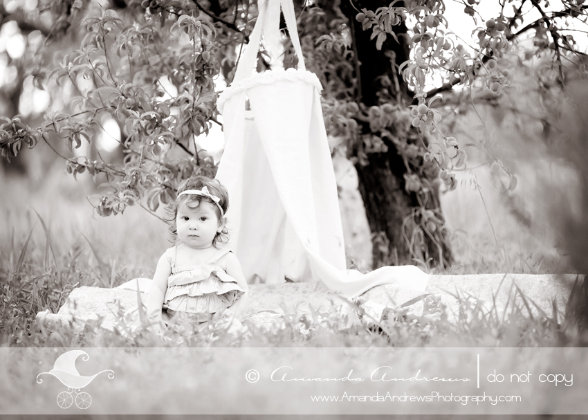 boise nampa caldwell kuna mountain home meridian eagle idaho baby photographer
