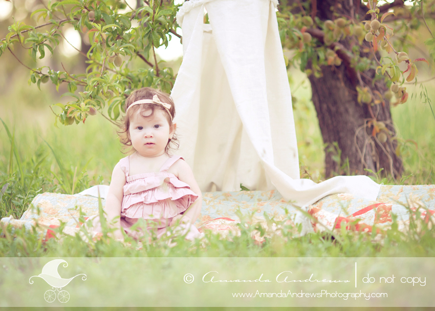 boise nampa caldwell kuna mountain home meridian eagle idaho baby photographer baby in canopy on quilt