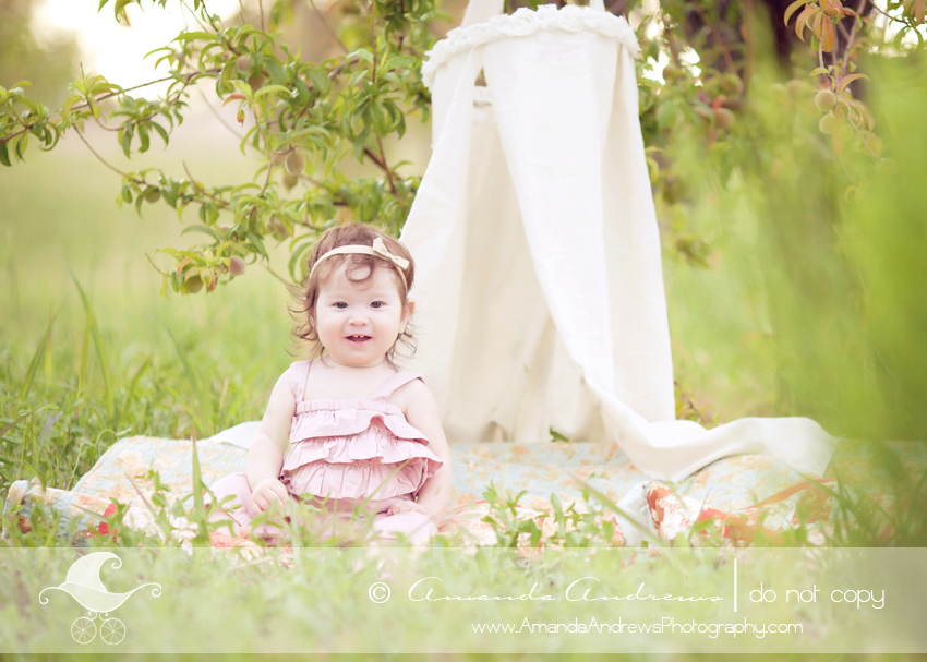 boise nampa caldwell kuna mountain home meridian eagle idaho baby photographer baby girl smiling photo in canopy
