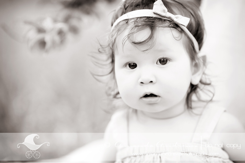 boise nampa caldwell kuna mountain home meridian eagle idaho baby photographer baby girl 9 month photoshoot