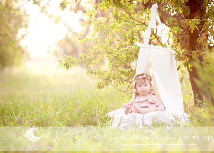 boise nampa caldwell kuna mountain home meridian eagle idaho baby photographer