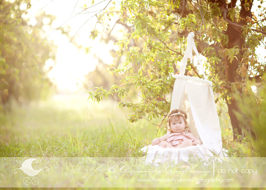 boise nampa caldwell kuna mountain home meridian eagle idaho baby photographer baby in canopy in orchard