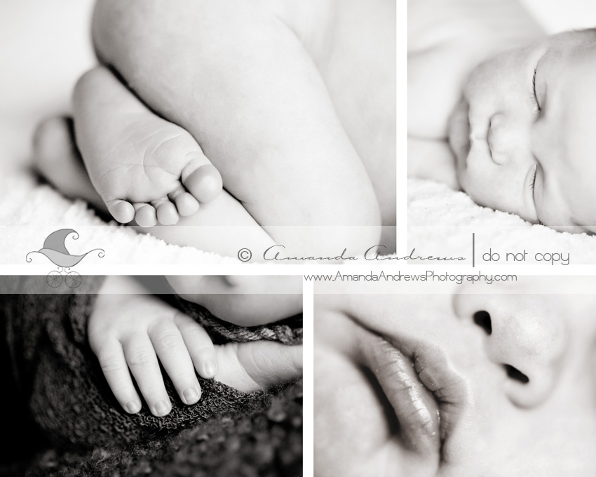 sun valley id twin falls newborn baby photographer baby parts macro photography