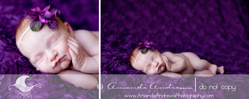 twin falls pocatello sun valley hailey ketchum newborn baby photographer baby girl on purple flower backdrop picture