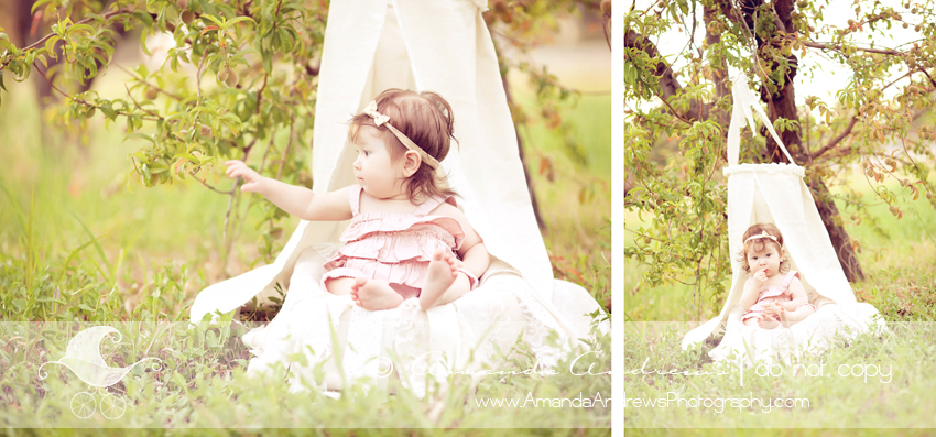 baby picture in canopy 