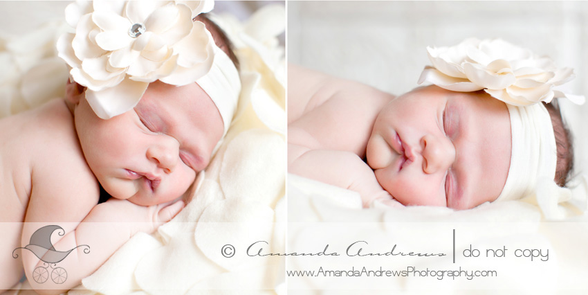 baby girl on flower pillow photograph