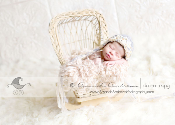 baby gilr in doll bassinet portrait