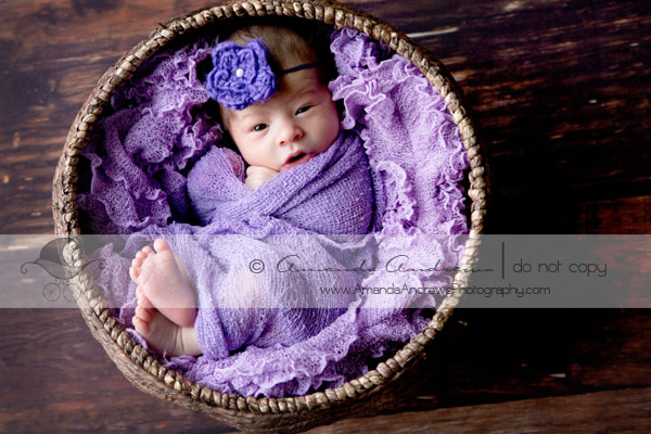 baby wrapped in purple in basket picture