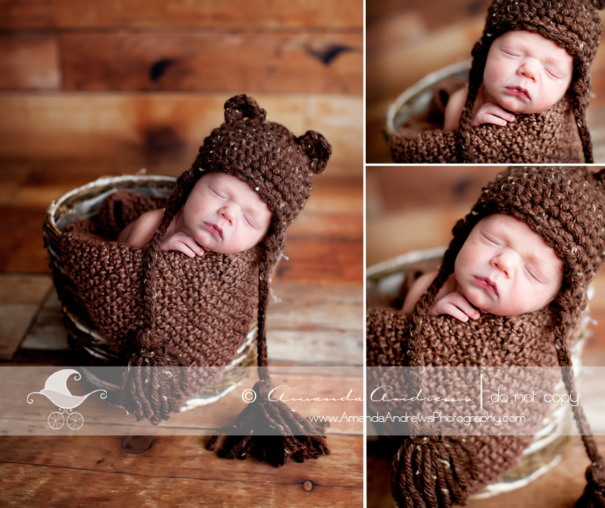baby in basket with bear hat pictures
