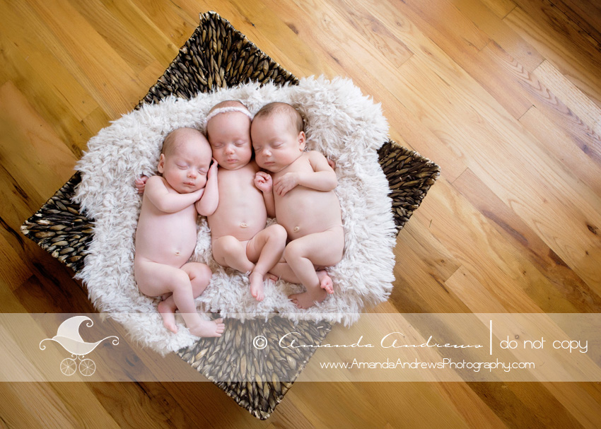 newborn photographer nampa id