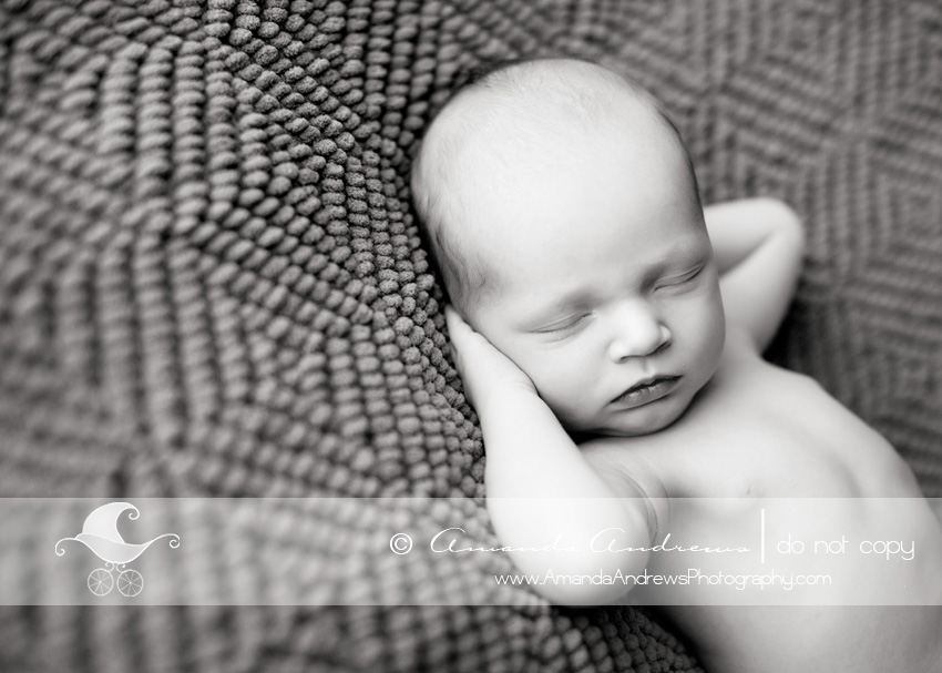 newborn baby photographer mountain home idaho