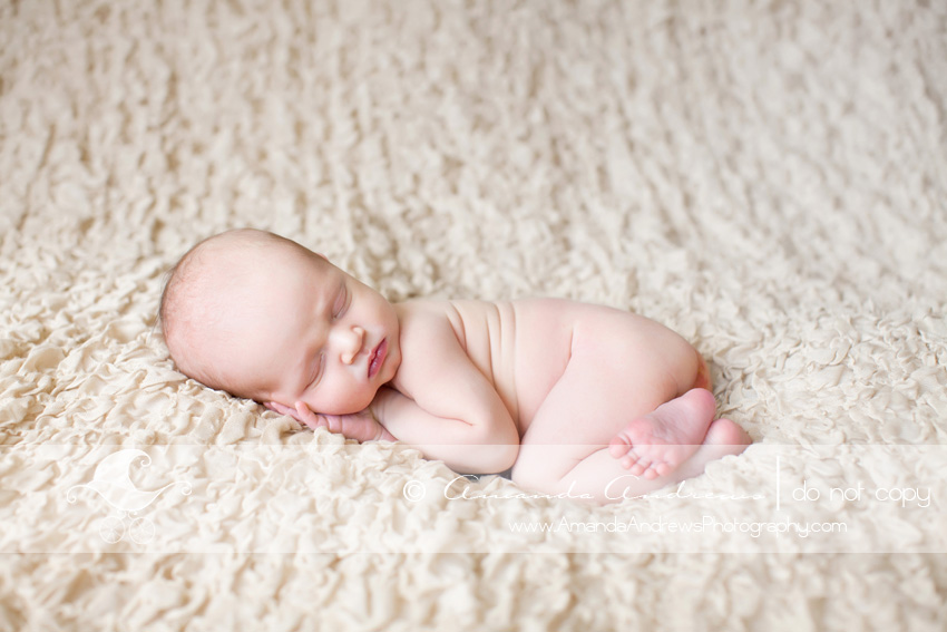 newborn photographer meridian idaho