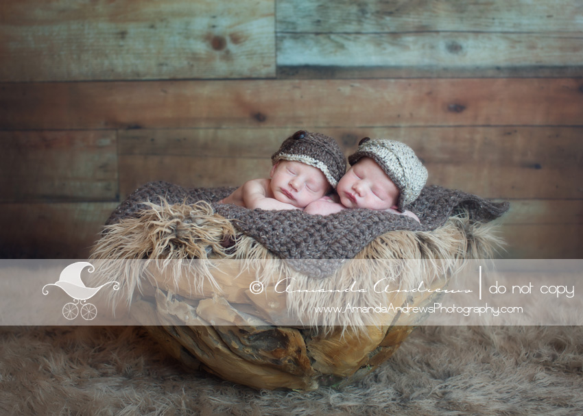 newborn photographer nampa id