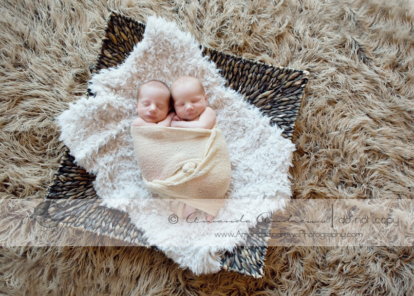 newborn photographer nampa id