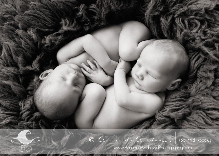 newborn photographer boise idaho