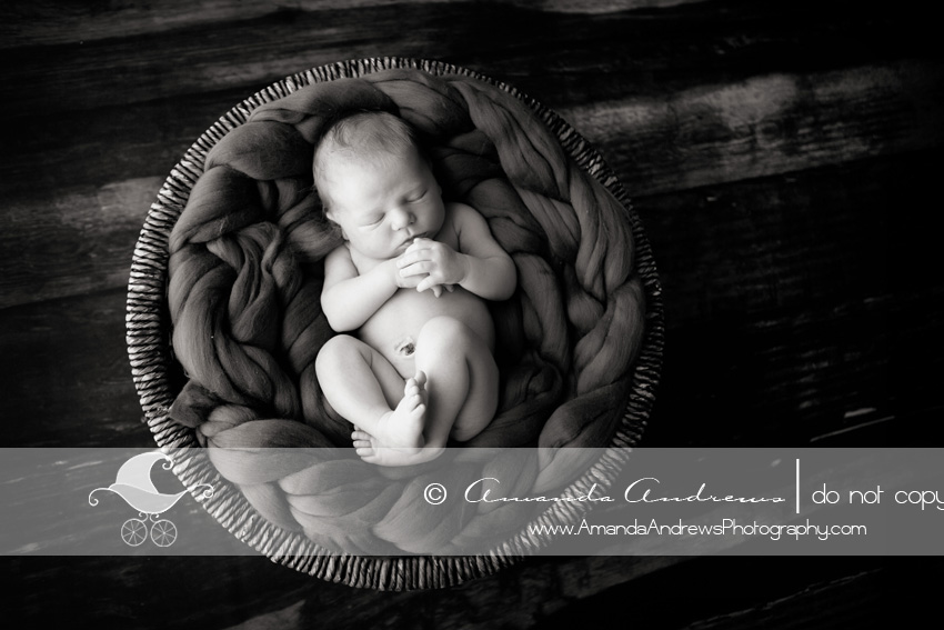 newborn photographer meridian id