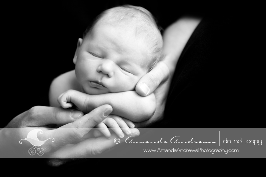 newborn photogorapher nampa id