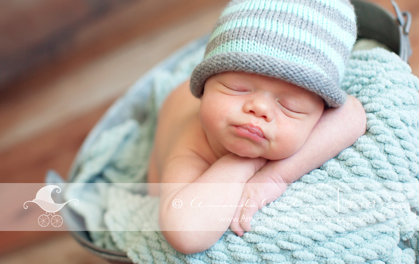 boise newborn photographer